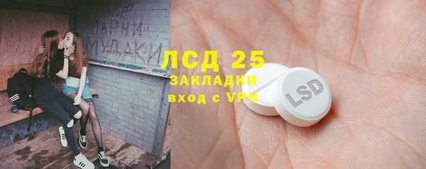 сатива Осинники