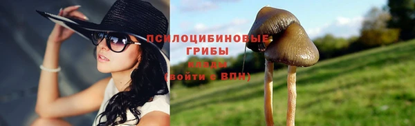 PSILOCYBIN Осташков