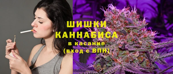 PSILOCYBIN Осташков