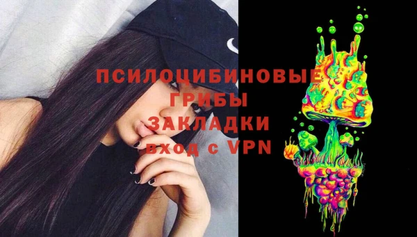 сатива Осинники